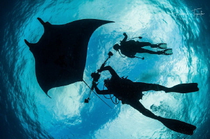 Marcelo, Roger and Mantaray, Roca Partida México by Alejandro Topete 